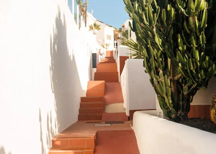 Serenity Ocean View 1br With Terrace, Pool & Walk To Beaches *